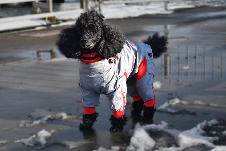 Zippy Full Body Suit for Dogs