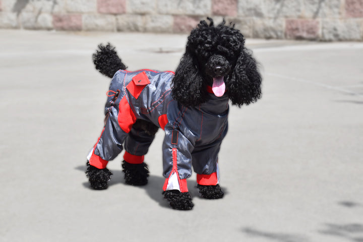 Zippy Full Body Suit for Dogs