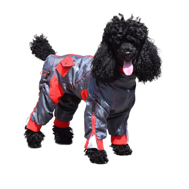Zippy Full Body Suit for Dogs