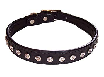 Maxwell & Madison Collars w/ 1-Row of Genuine Crystals Black