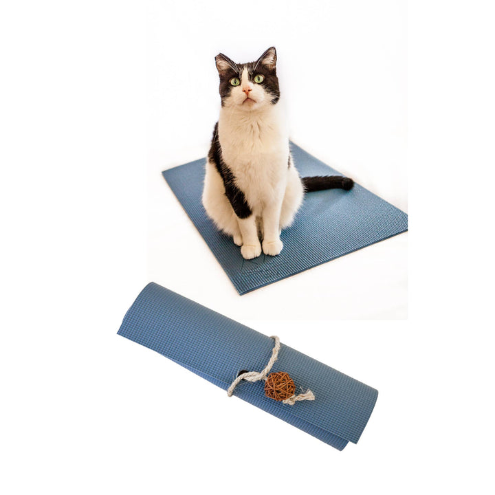 Slate Blue 3 Cat Toy Gift Set + Cat Yoga Mat