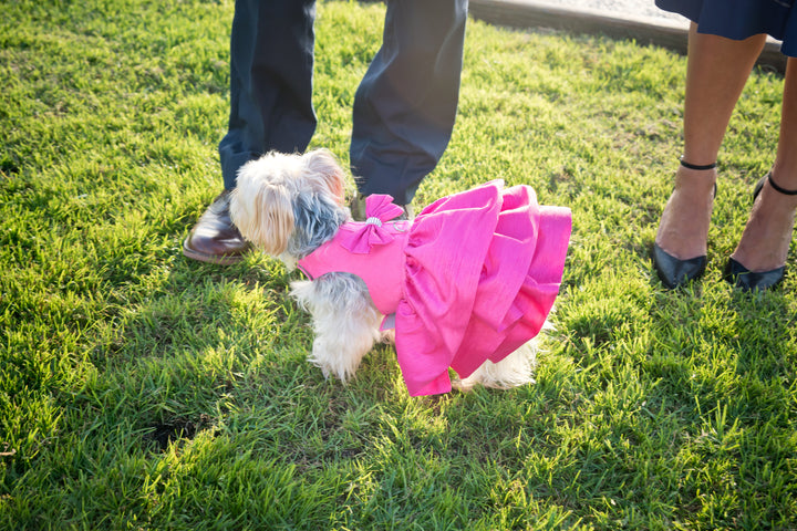 Pink Sapphire Madison Dress