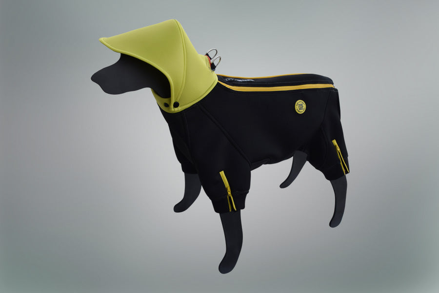 Jazzy Dog Body Suit