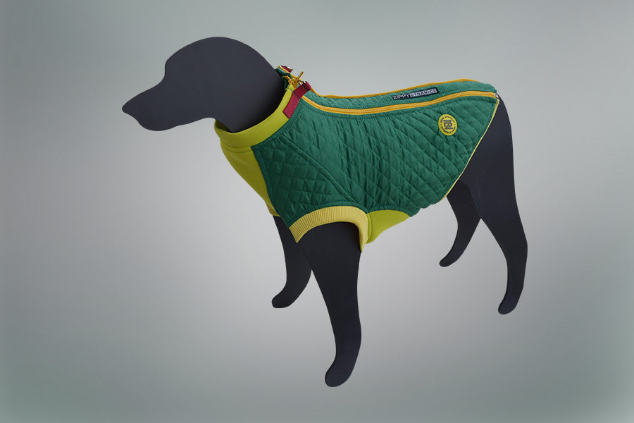 Softy Dog Body Suit