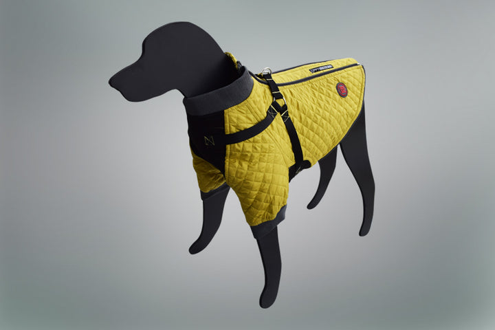 Trendy Dog Body Suit