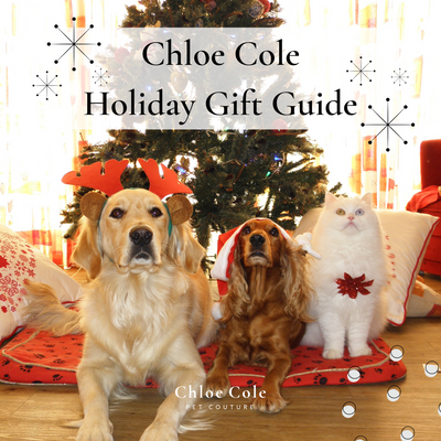 Chloe Cole Holiday Gift Guide 2022
