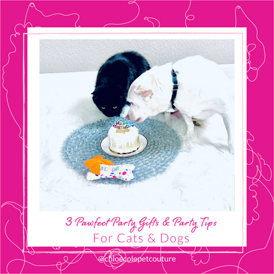 3 Pawfect Birthday Gifts for Cats & Dogs