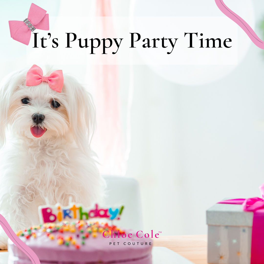 It’s Puppy Party Time