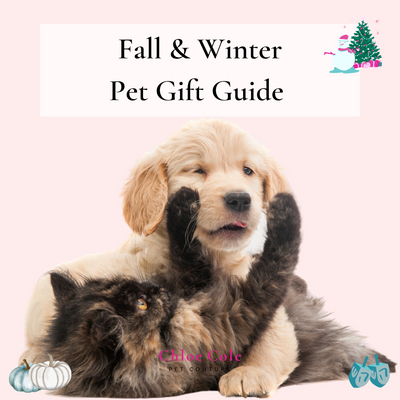 Fall & Winter Pet Gift Guide
