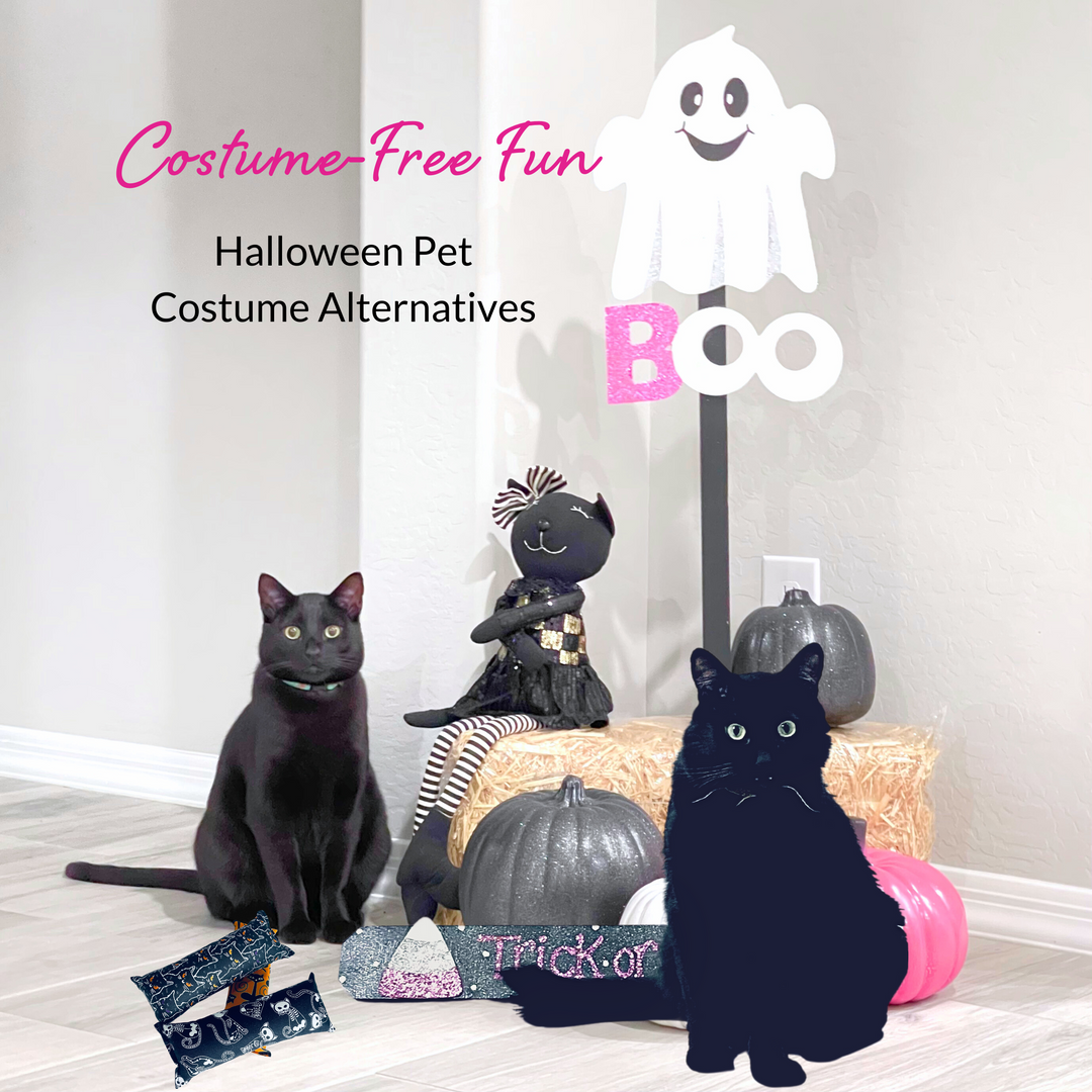 Halloween for Cats and Dogs