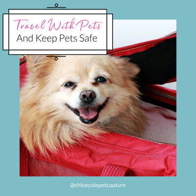 3 Clever Tips to Make Traveling with Pets a Breeze