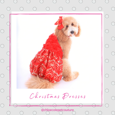 5 Stunning Dog Christmas Dresses That Will Make Your Jaw Drop