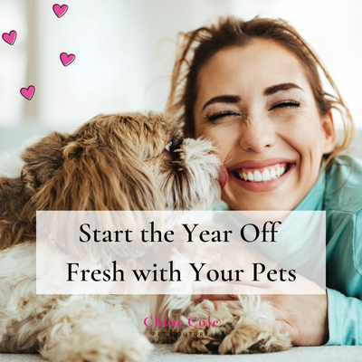 Start the Year Off Fresh with Your Pets