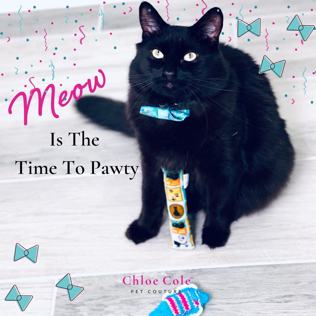 Meow Is The Time To Pawty