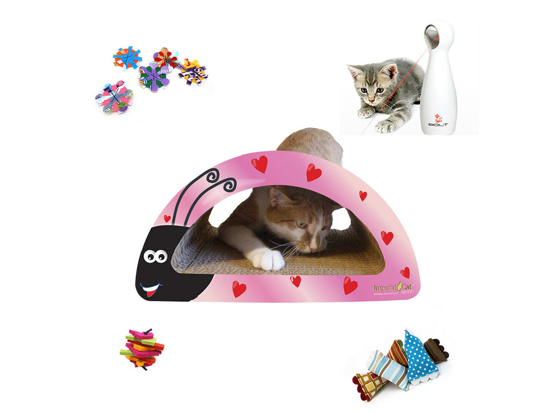 Cat Scratchers & Loungers