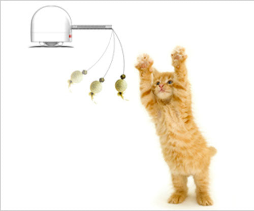 Interactive Cat Toys