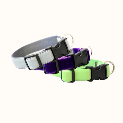 Personalized Velvet Dog Collar w/ Plastic Buckle