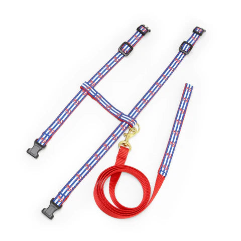 Anchors Aweigh Cat Leash and Harness Set