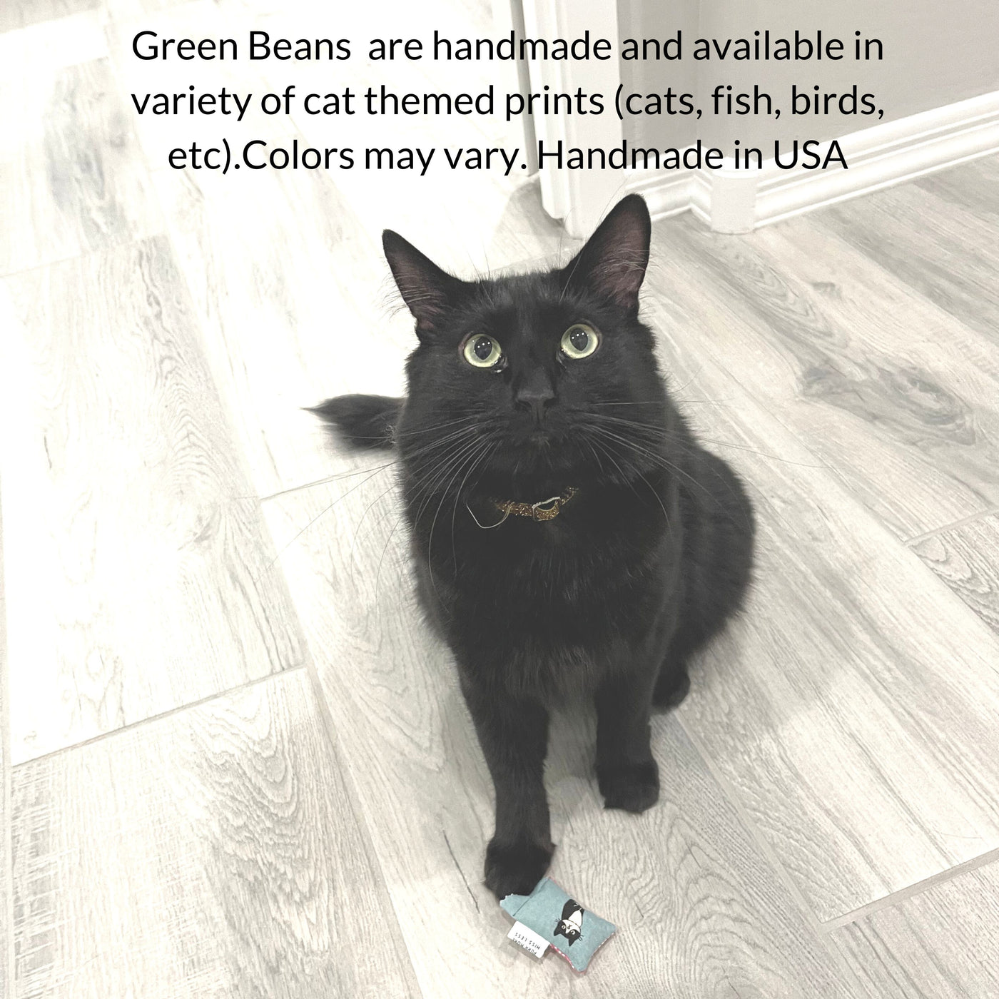 Catnip Bean Cat Toys