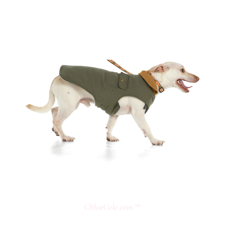 Chester Barn Coat for Dogs (Multi Options)