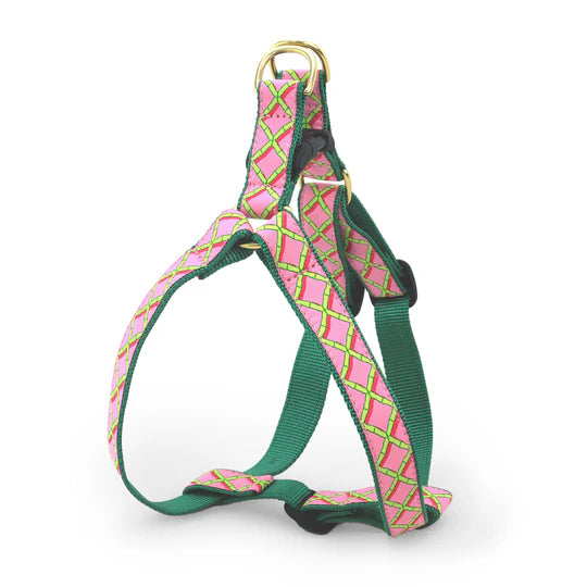 Coral Gables Dog Harness (Optional Leash)