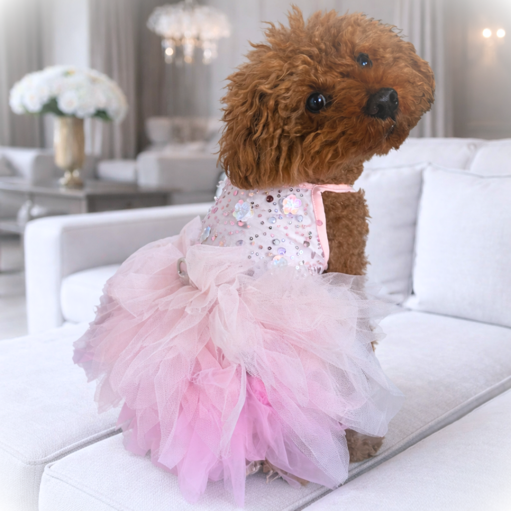 Gorgeous Dog Tutu Dress