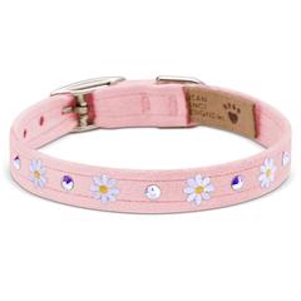 1/2" Small Daisies Dog Collars