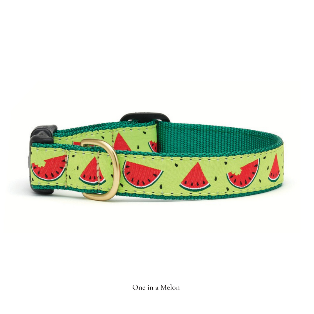 One in a Melon Dog Collar Small Breed