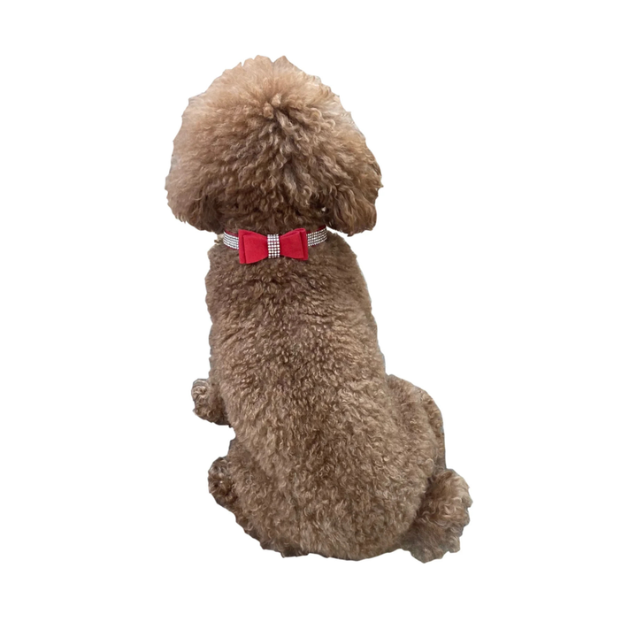 Bow Tie Faux Suede Dog Collar - 3 Colors