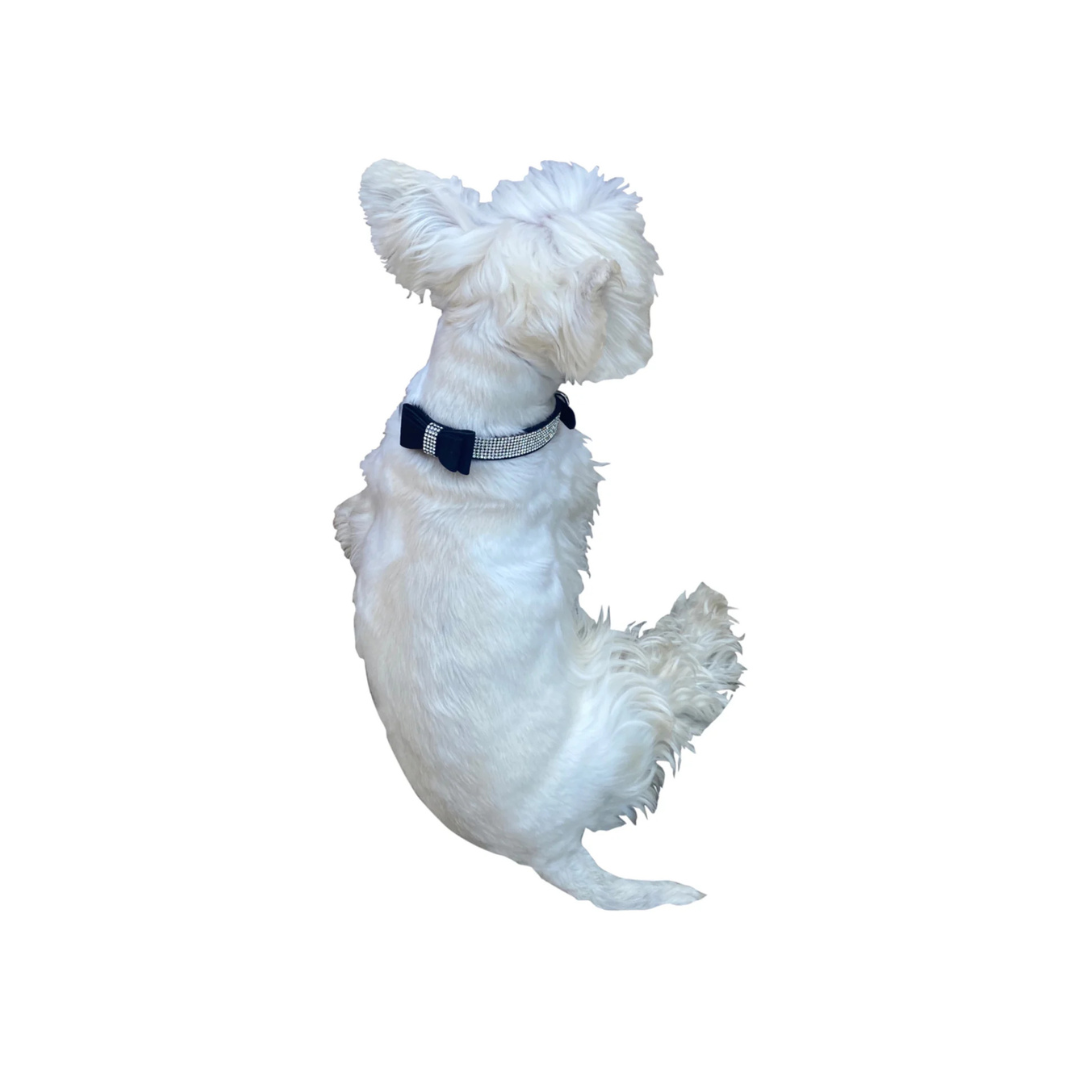 Bow Tie Faux Suede Dog Collar - 3 Colors