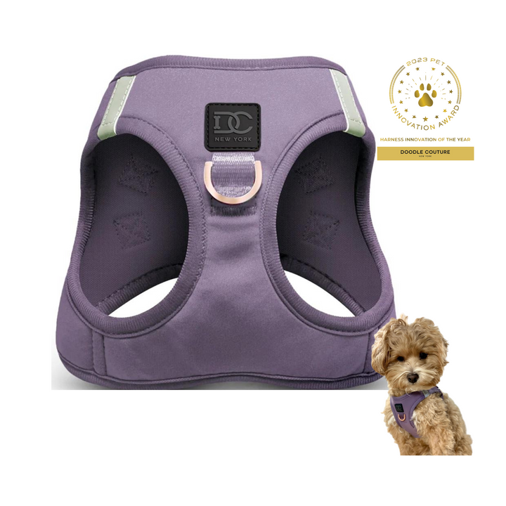 Luxe No Pull, Step-In Dog Walking Set - Choose Color