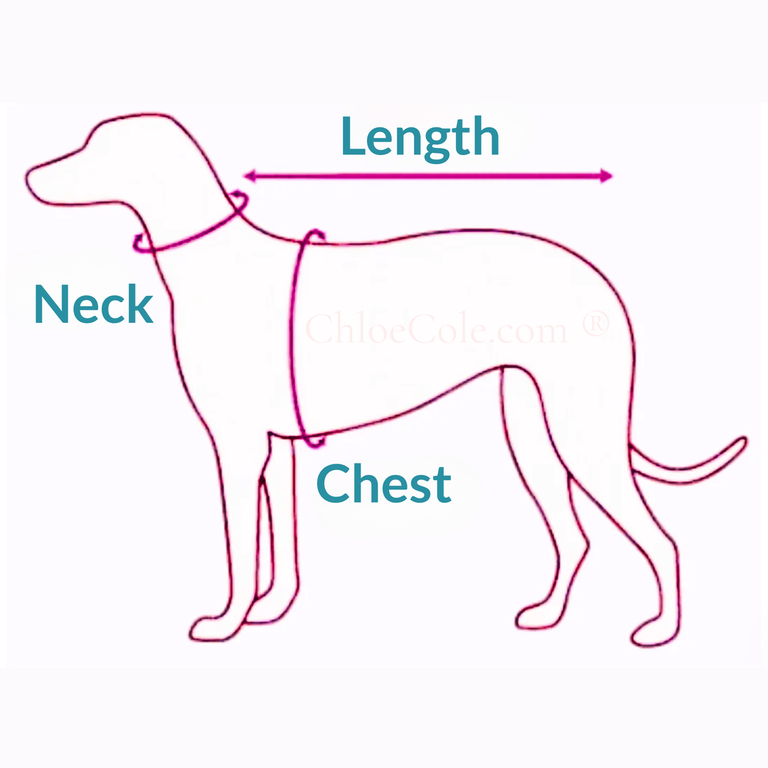 Small Dog Vest Harness