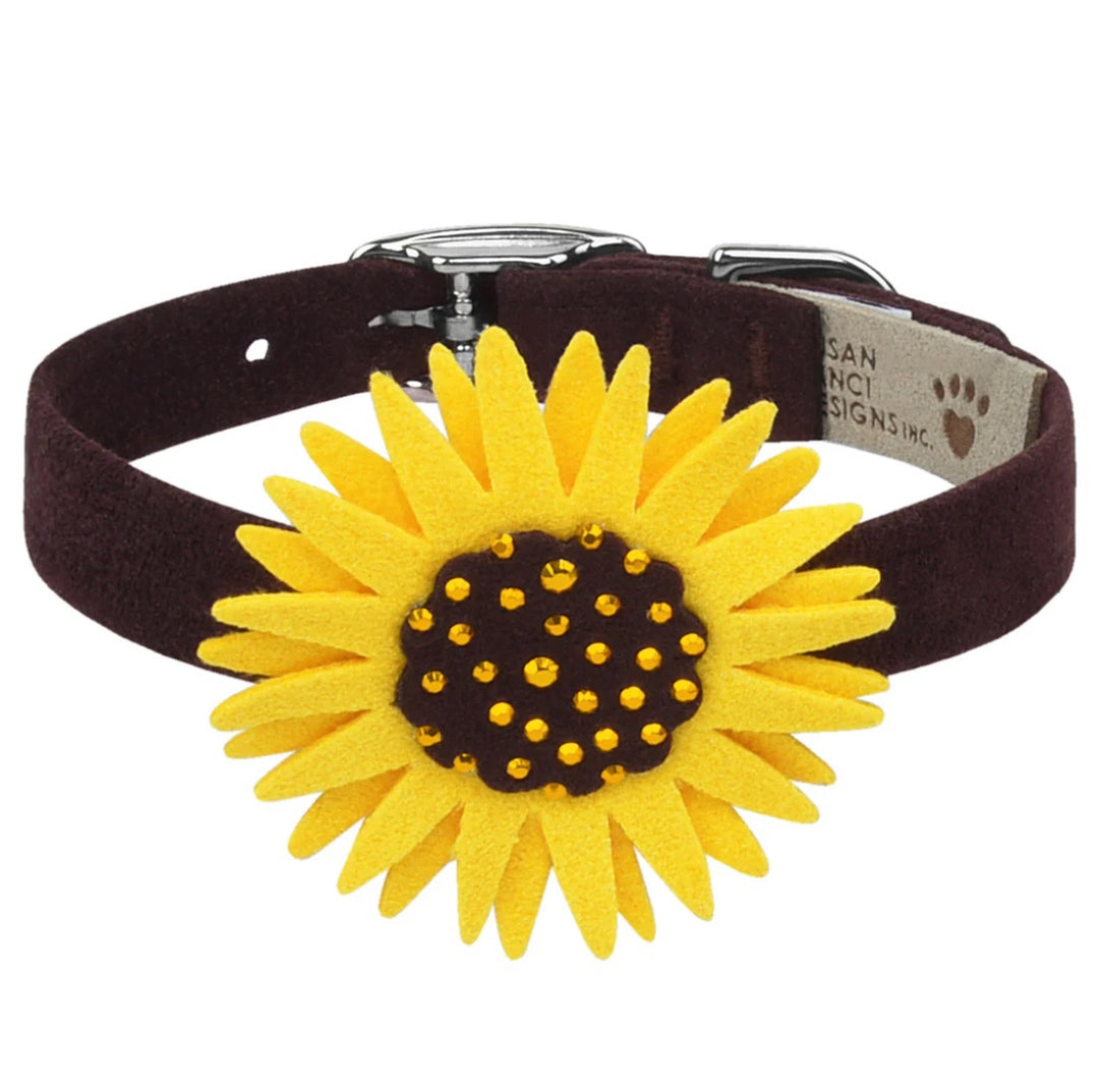 Sunflower 1/2" Collar