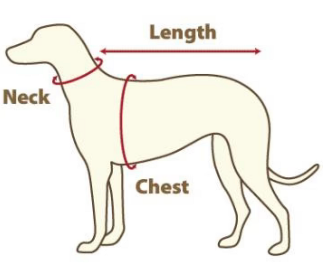 Personalized Velvet Dog Collar (Plastic Buckle)
