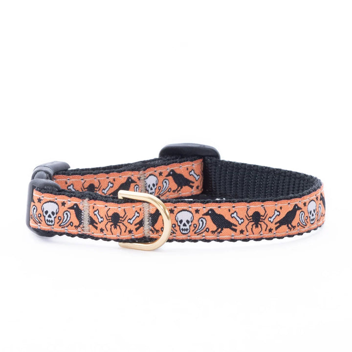 Nevermore Raven Small Breed Dog Collar (Optional Lead or Harness)