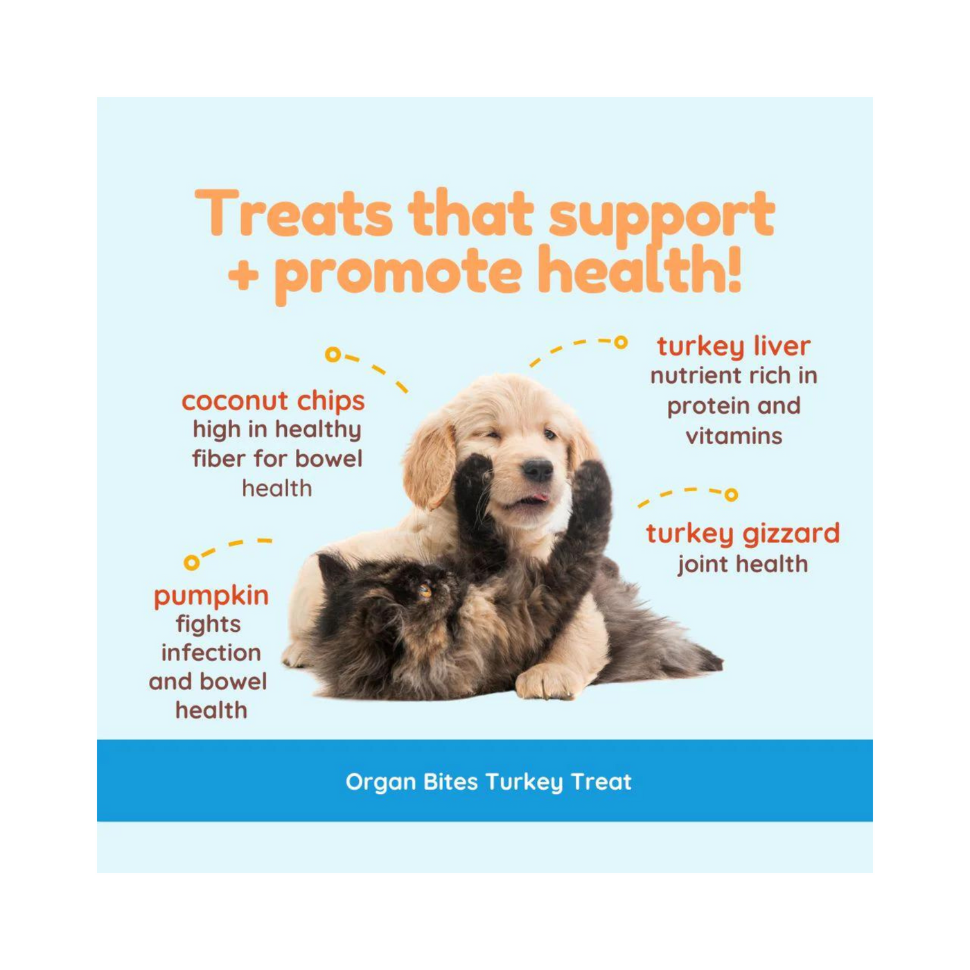 CocoTherapy Organ Bites! Turkey Meat + Pumpkin + Coconut - Raw Freeze Dried Treat for Cats or Dogs