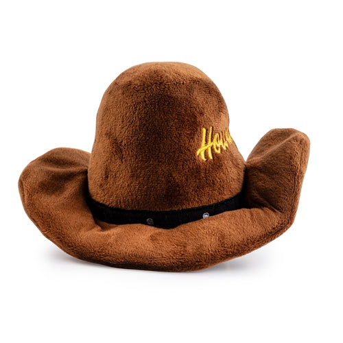 Brown  Cowboy  Hat