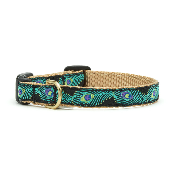 Peacock Small Breed Dog Collar (Optional Lead or Harness)