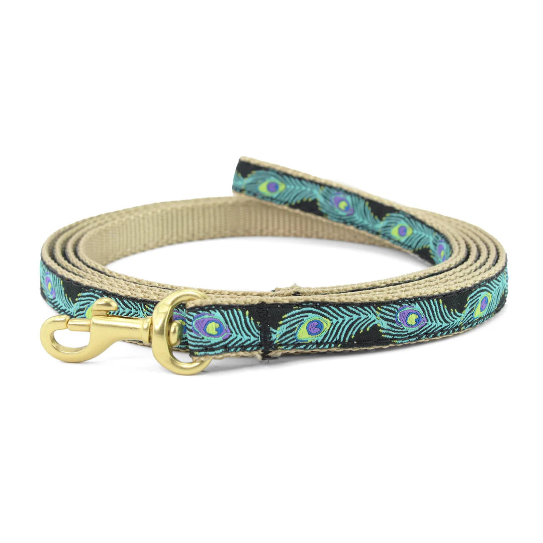 Peacock Small Breed Dog Collar (Optional Lead or Harness)