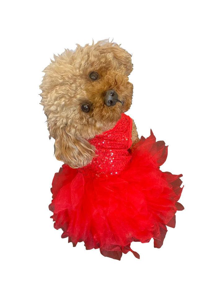 Grand Tutu Red Dog Dress