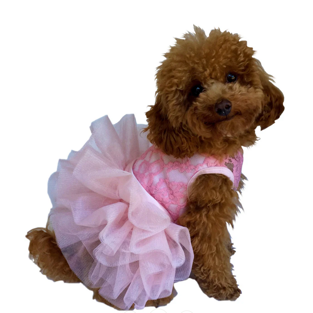 Fufu Tutu Lace  Dog Dress - (Color Options)