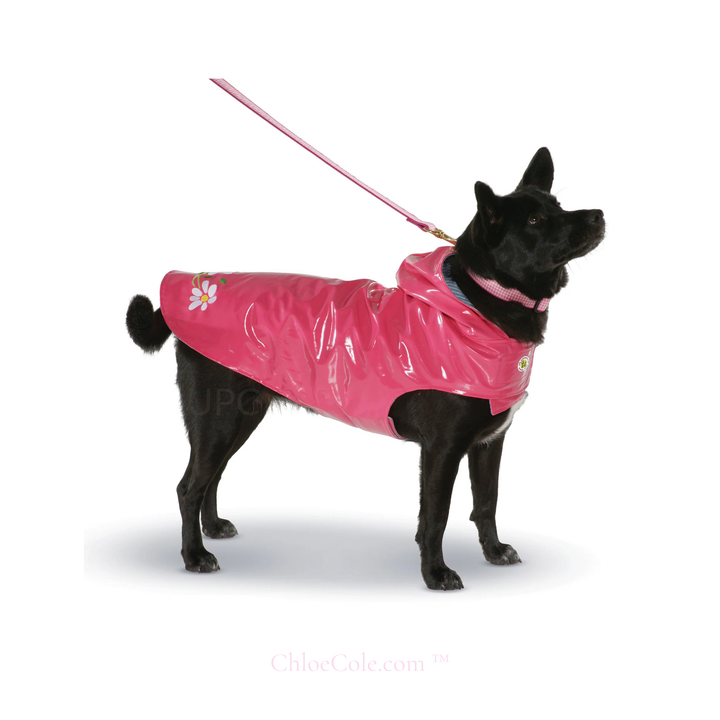 Dog Slickers ( Dog Rain Coat )