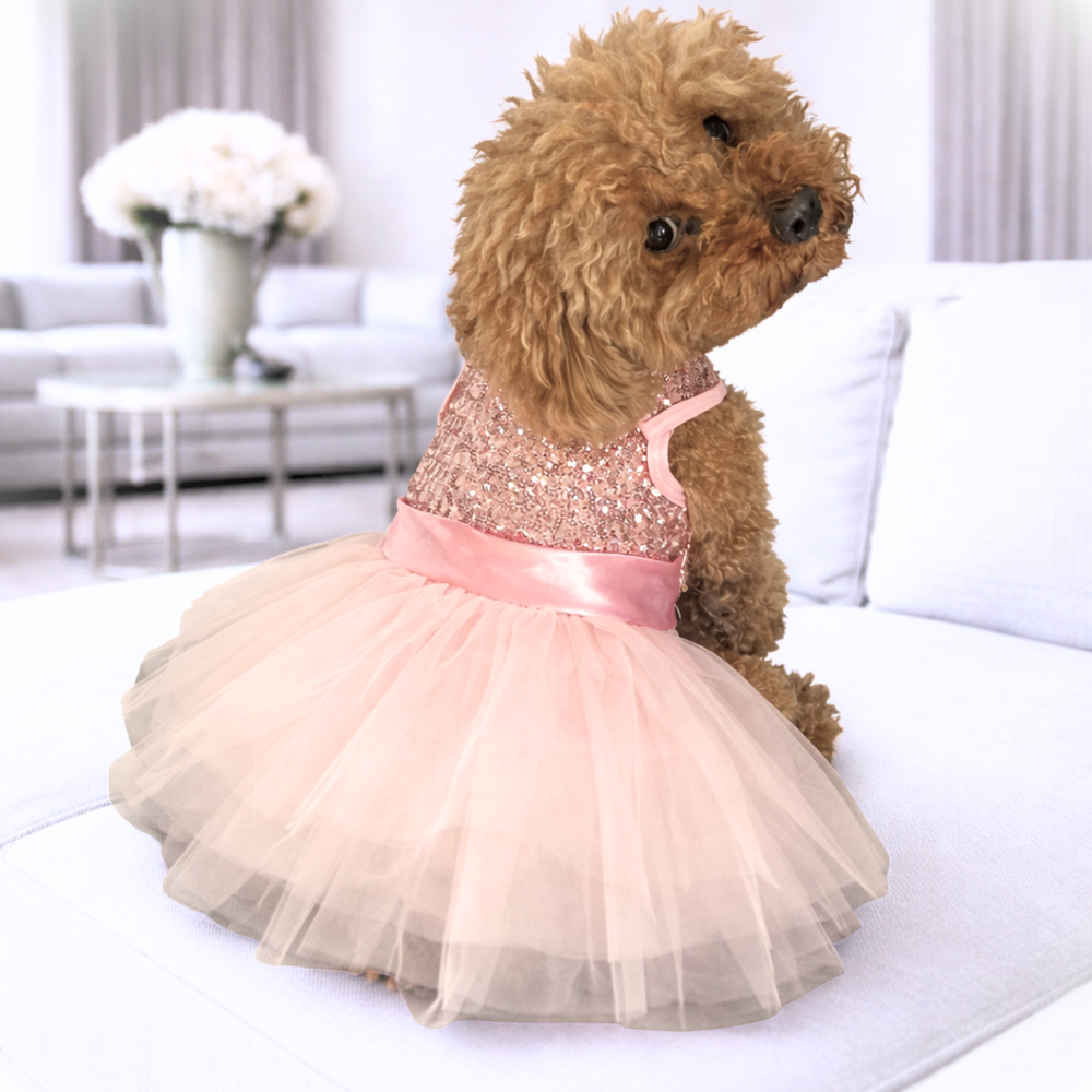 Dog and Cat Tutu Dresses | Chloe Cole Pet Couture Chloe Cole Pet Couture Dog and Cat Tutu Dresses | Chloe Cole Pet Couture Chloe Cole Pet Couture