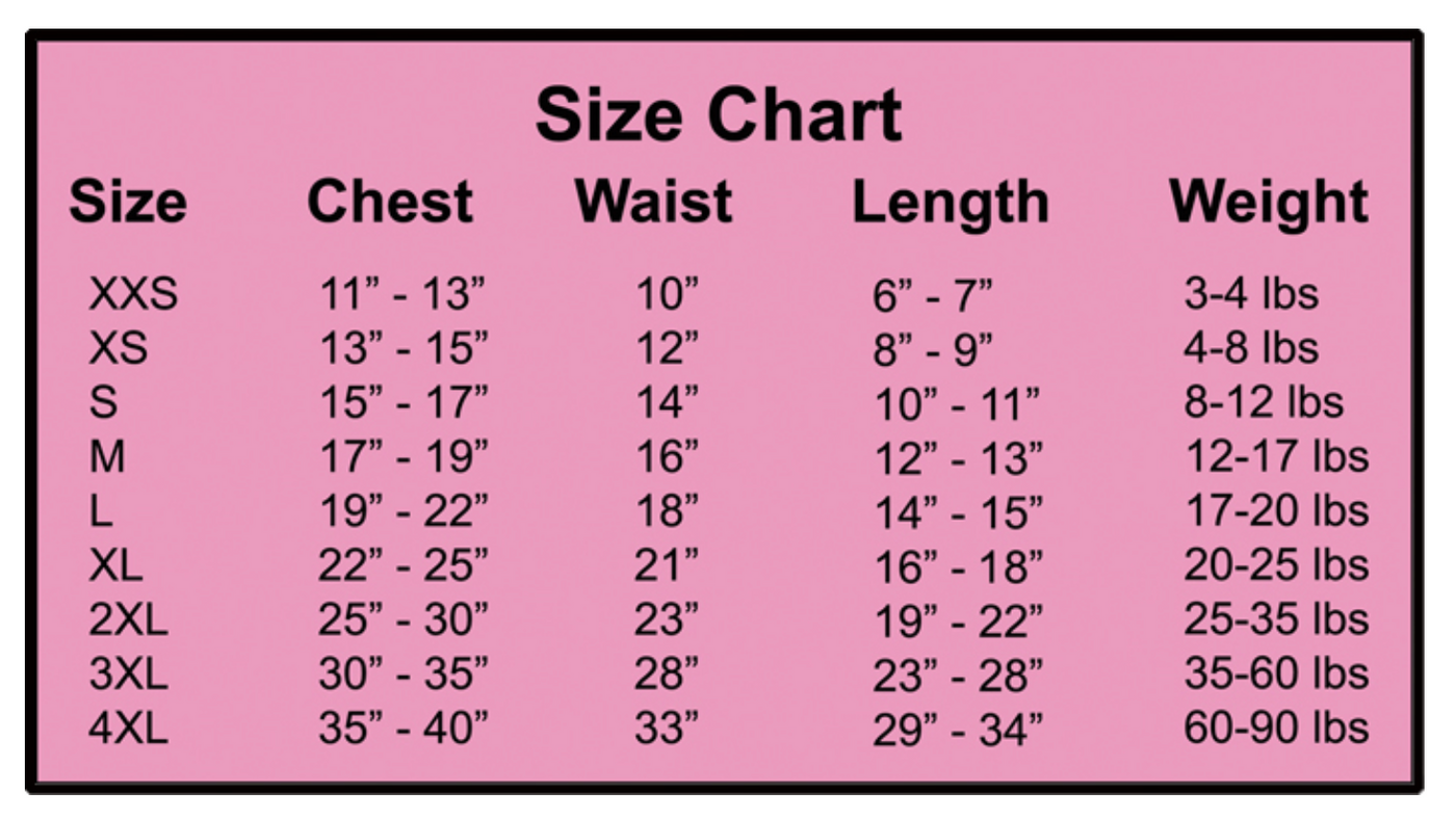 Pink Jane Denim Dog Skirt