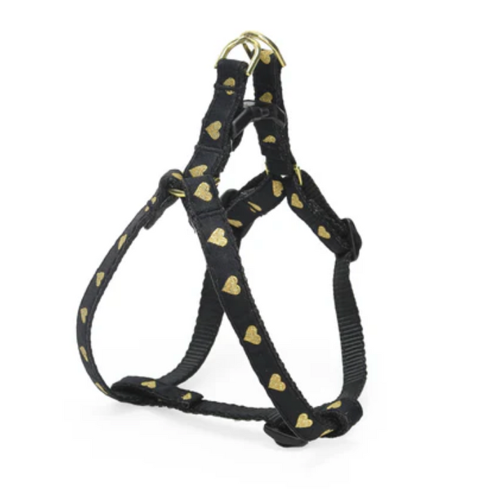 Black Heart Of Gold Small Breed Dog Harness (Opt Leash)