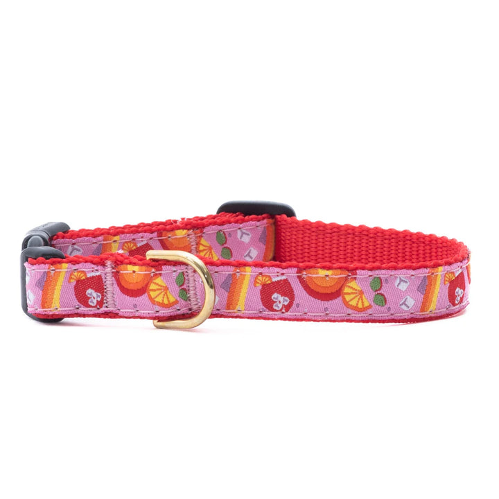 Spritz Small Breed Dog Collar (Optional Lead or Harness)