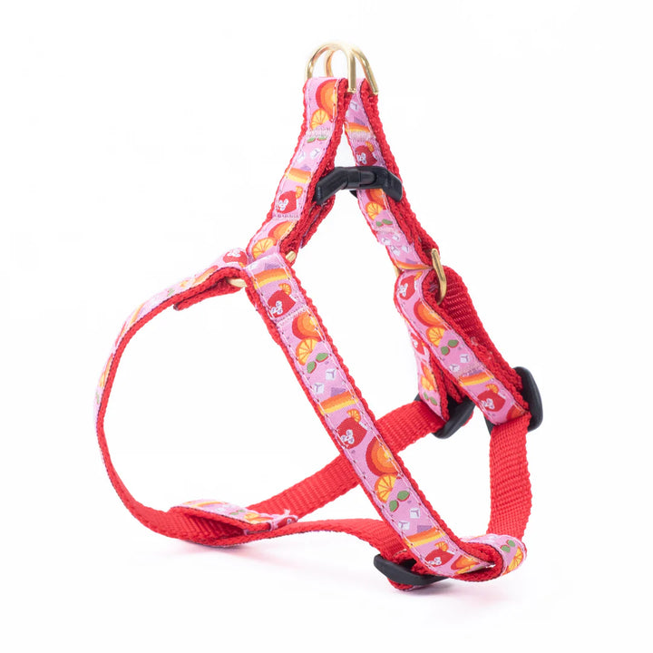 Spritz Small Breed Dog Collar (Optional Lead or Harness)