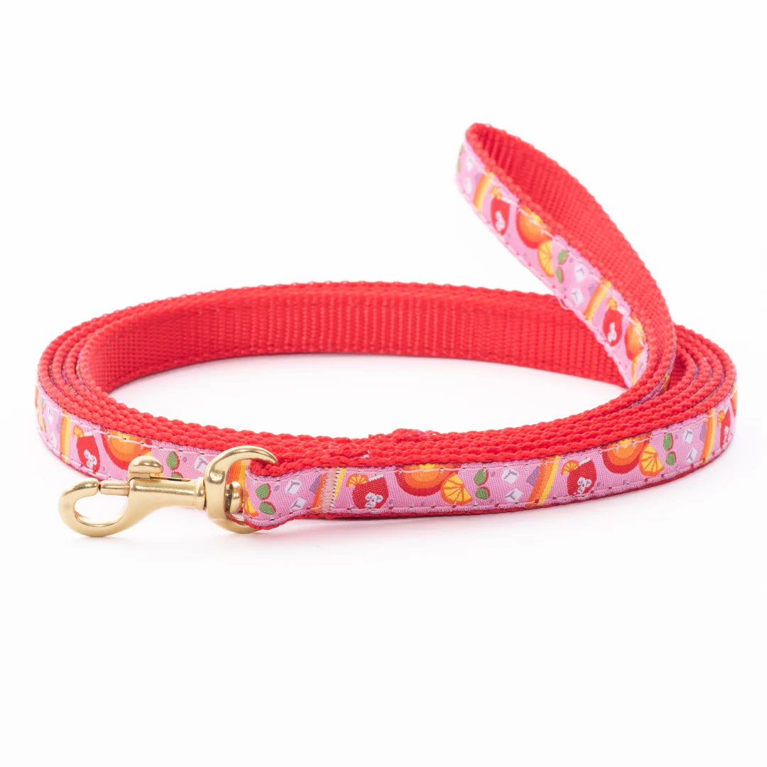 Spritz Small Breed Dog Collar (Optional Lead or Harness)