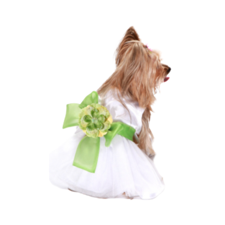 Madeleine Dog Dress with flower