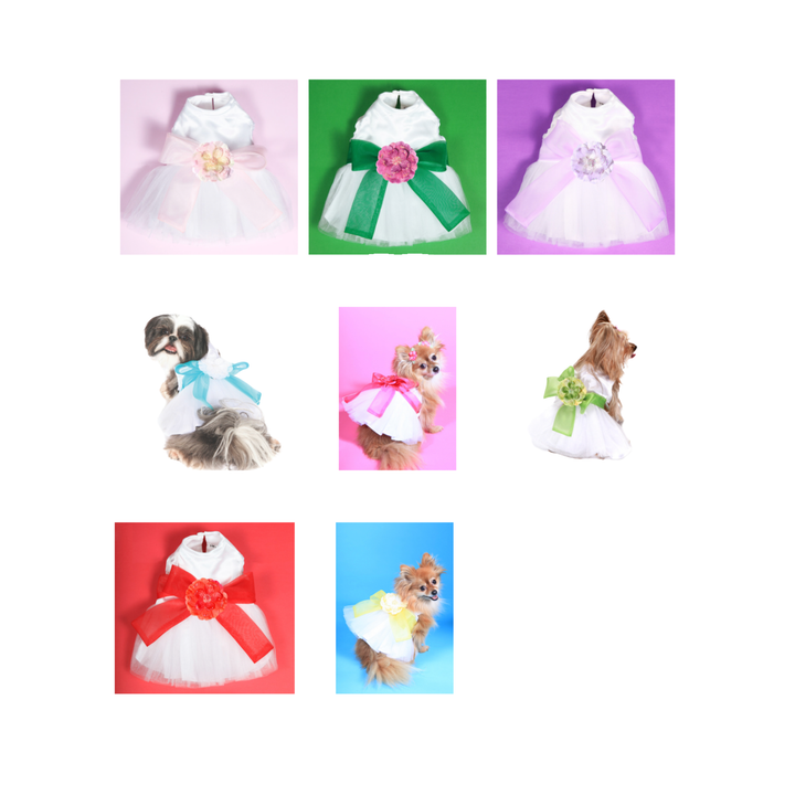 Madeleine Dog Dress with flower